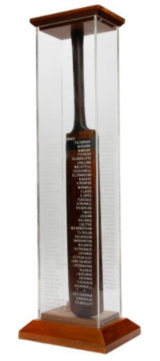 The Bardswell and Golden Age cricket bats, side by side